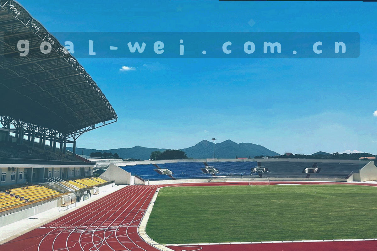 看台台阶与纵向分区线条构成的走势意象